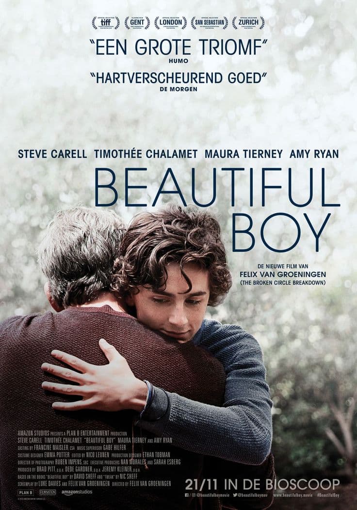 Timothée Chalamet and Steve Carell share a somber embrace on the Beautiful Boy poster.