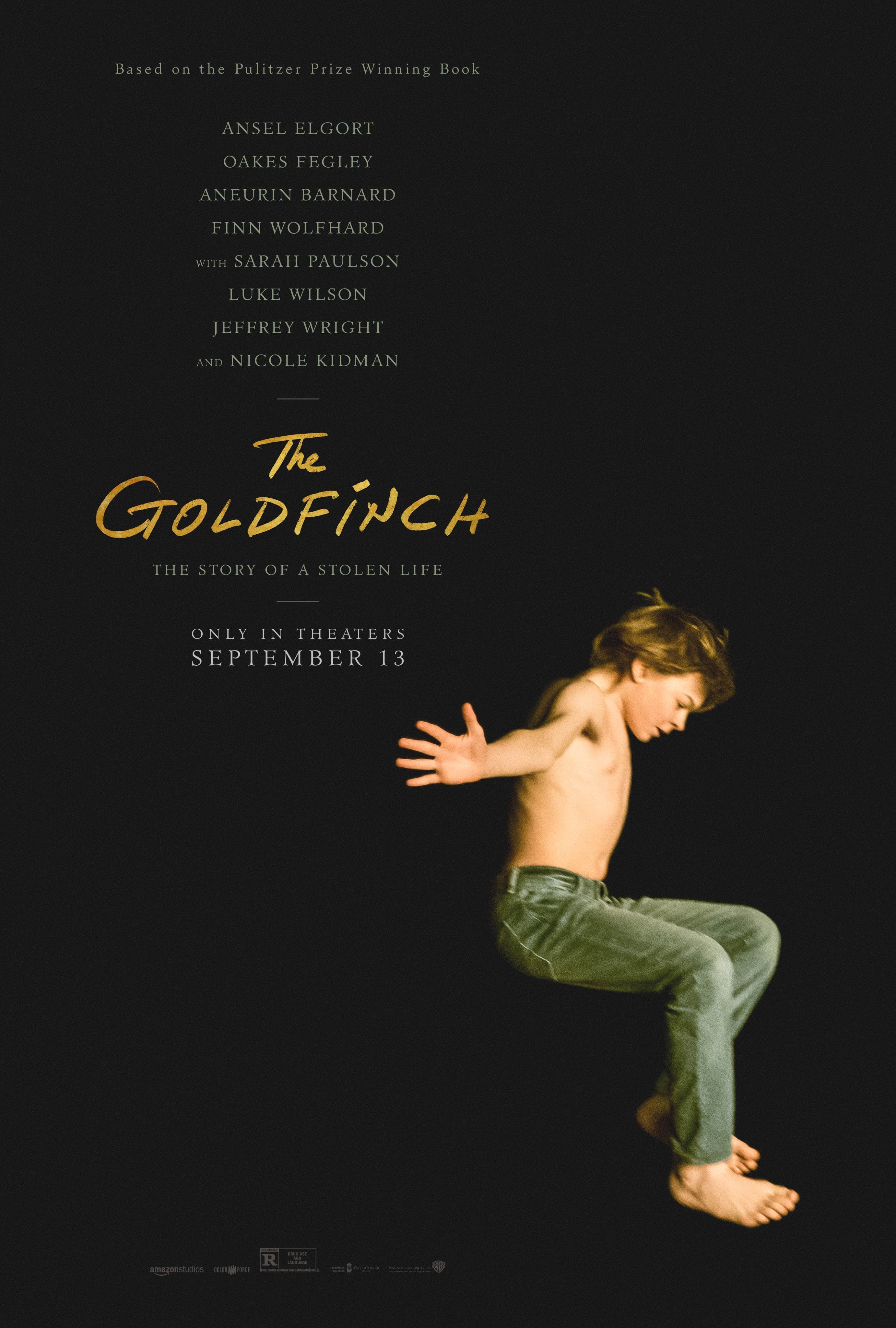 Movie poster for The Goldfinch featuring a shirtless boy falling against a black background.